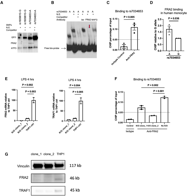 Figure 5