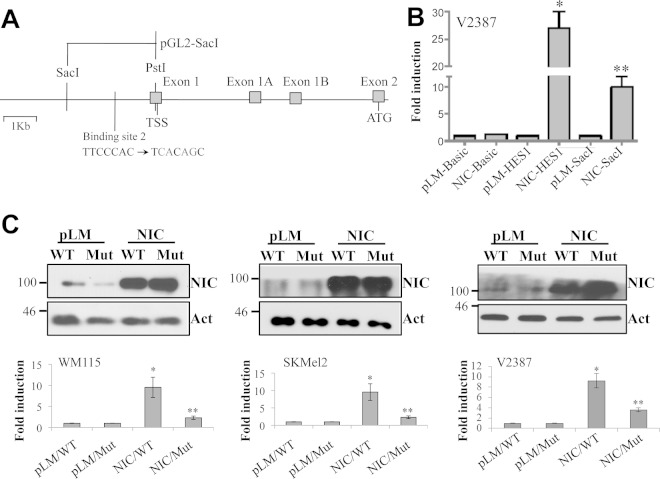 FIG 4