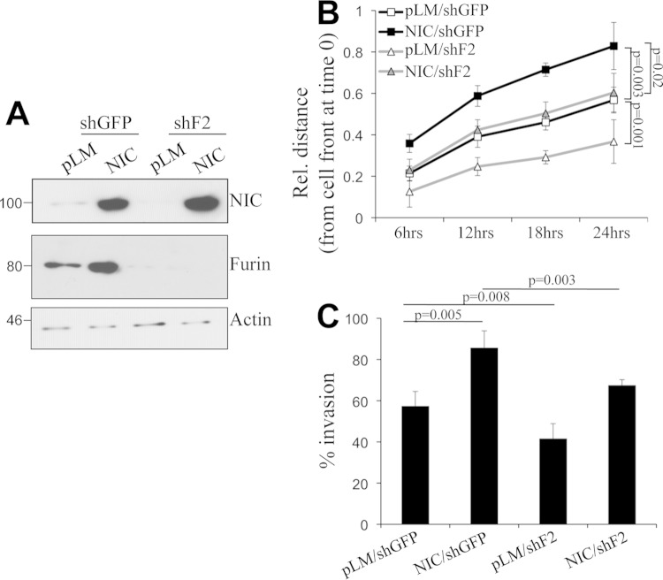 FIG 9