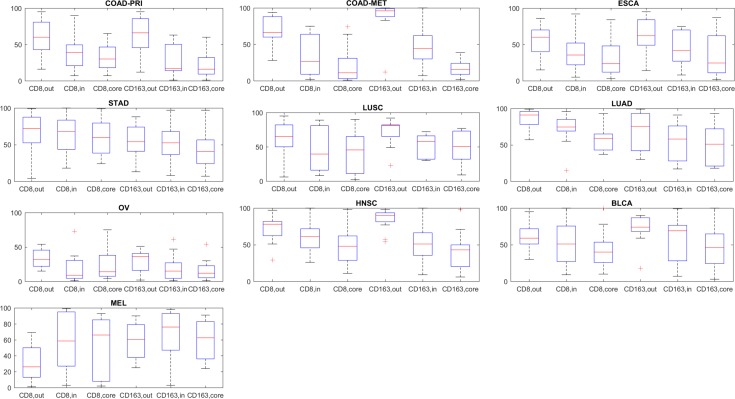 Figure 2—figure supplement 2.