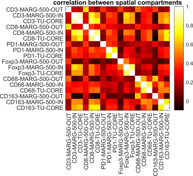 Figure 2—figure supplement 5.