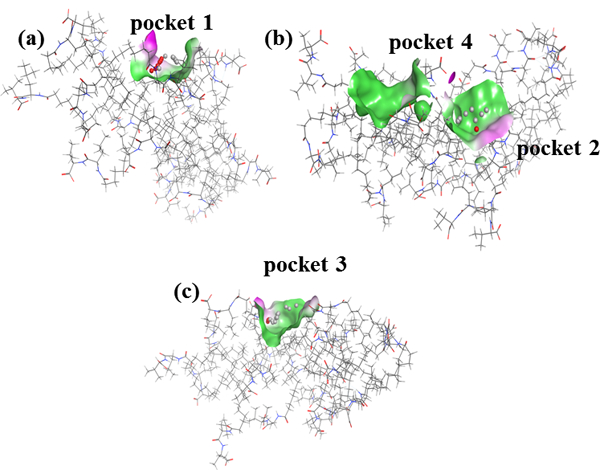 Figure 2: