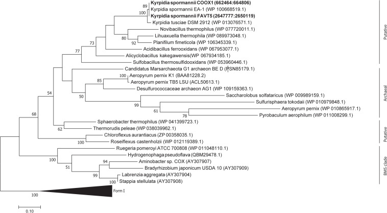 FIGURE 6