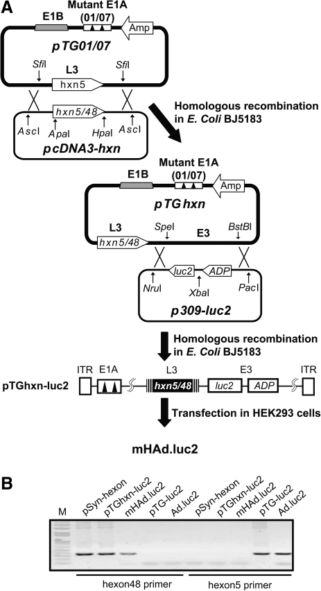 FIG. 1.