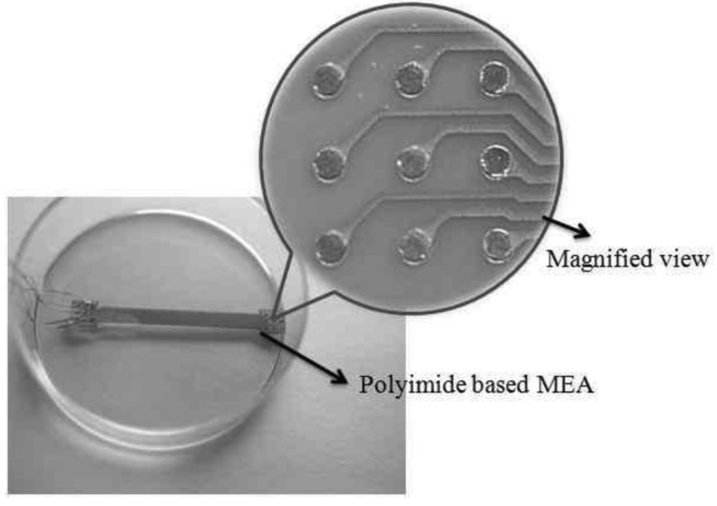 Figure 4.