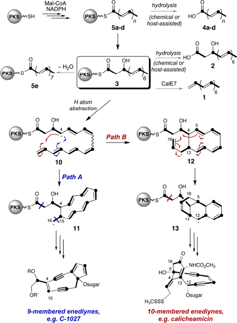 Scheme 1