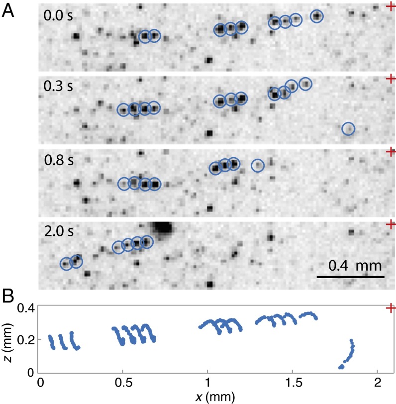 Fig. 2.