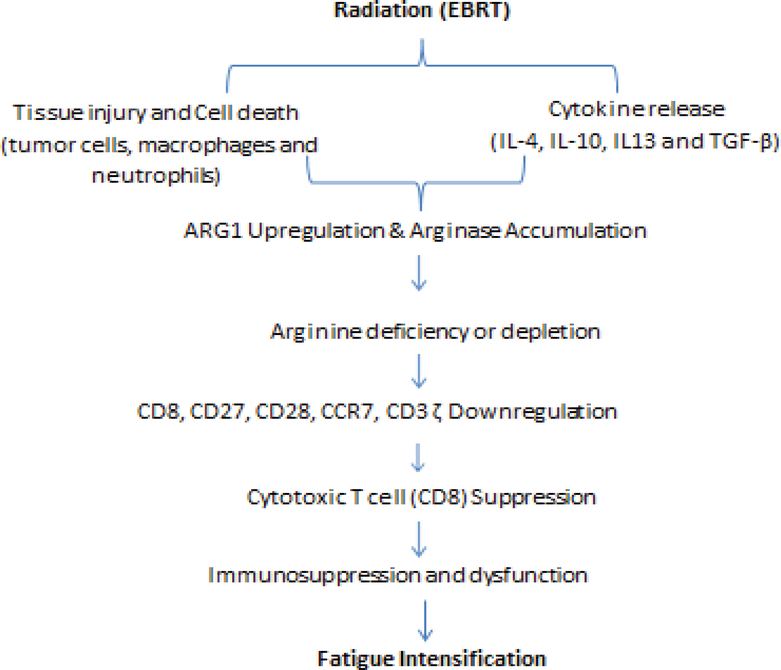 Figure 5: