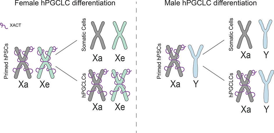 Extended Data Fig. 6