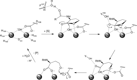 Scheme 2