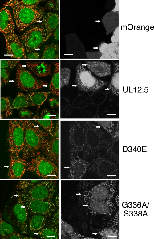 FIG. 7.