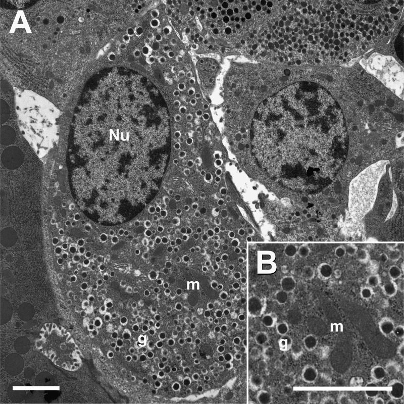 FIGURE 7.