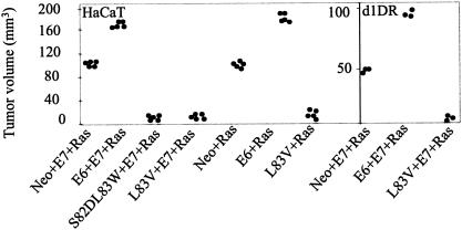 FIG. 5.