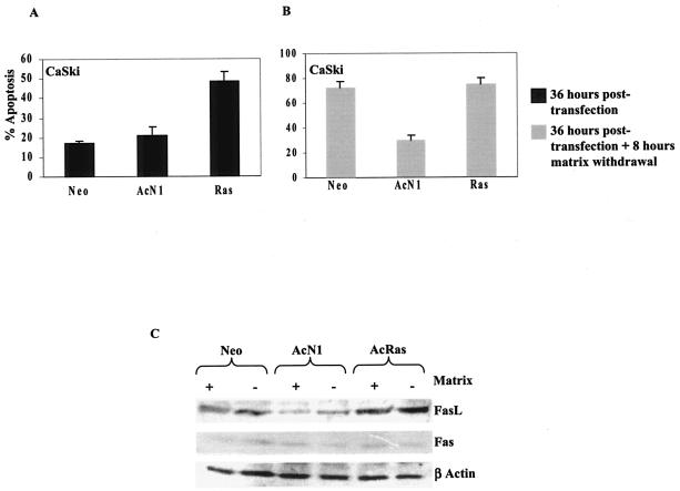 FIG. 8.