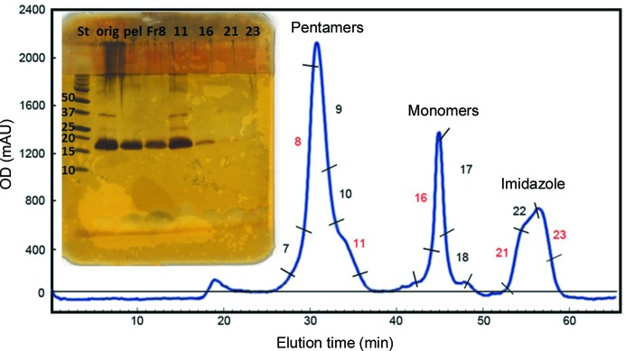 Figure 5