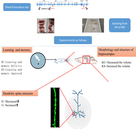 graphic file with name CNS-29-78-g002.jpg