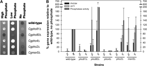 Figure 2.—