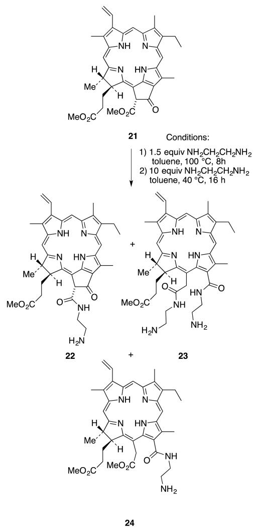 Scheme 6