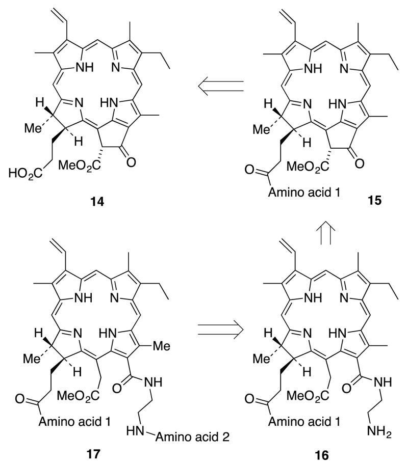 Scheme 3