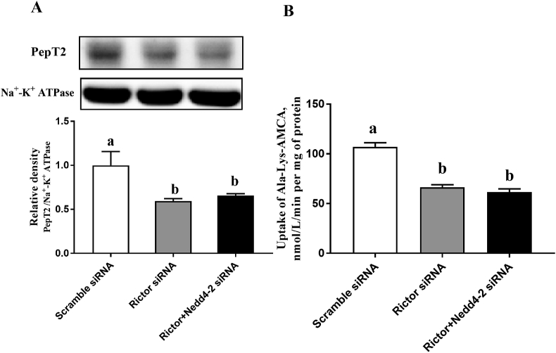 Fig. 4