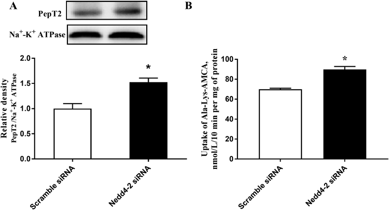 Fig. 2