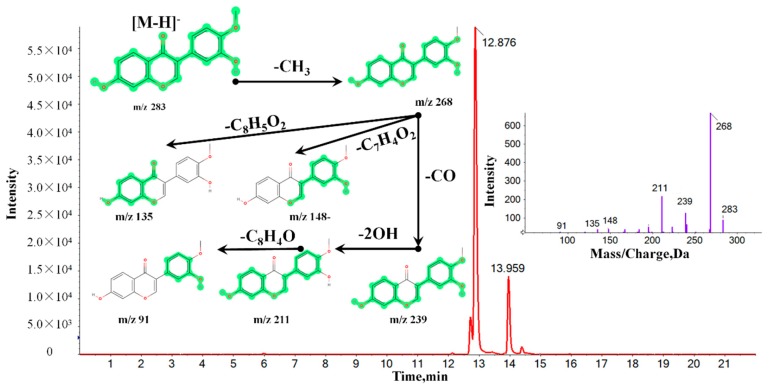 Figure 4