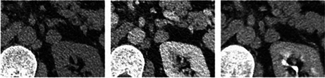Fig. 5