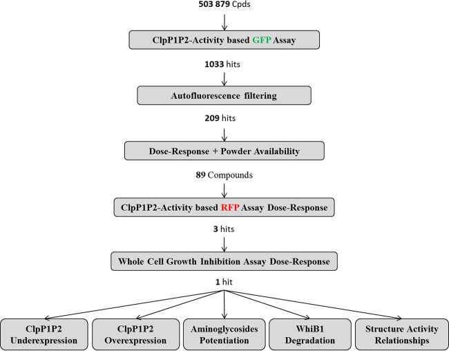 FIG 3 