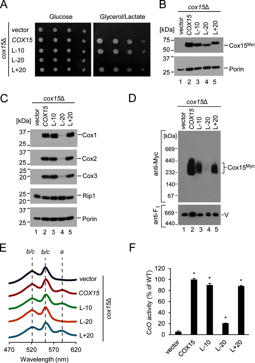 FIGURE 5.