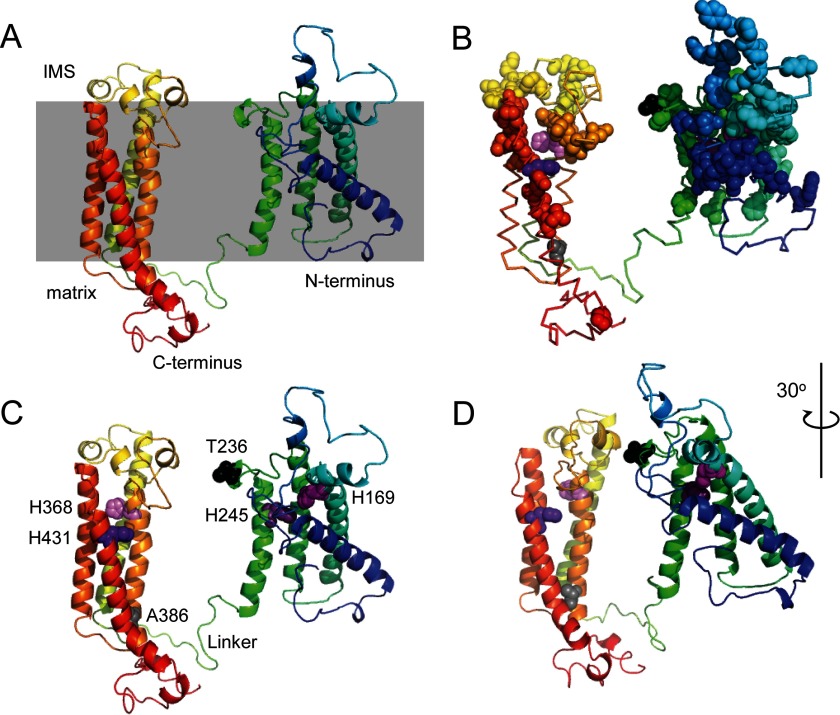 FIGURE 7.