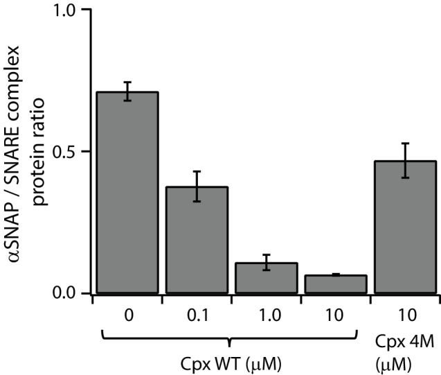 Figure 6—figure supplement 1.