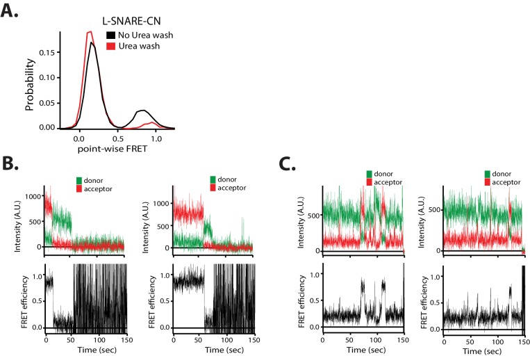 Figure 9—figure supplement 1.