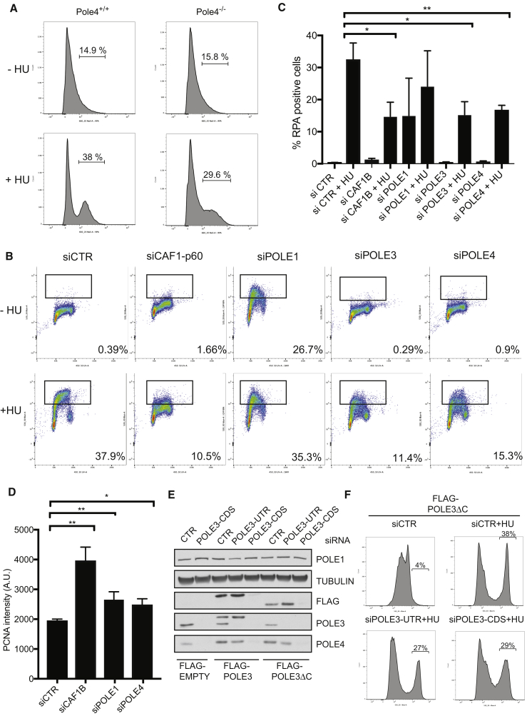 Figure 6