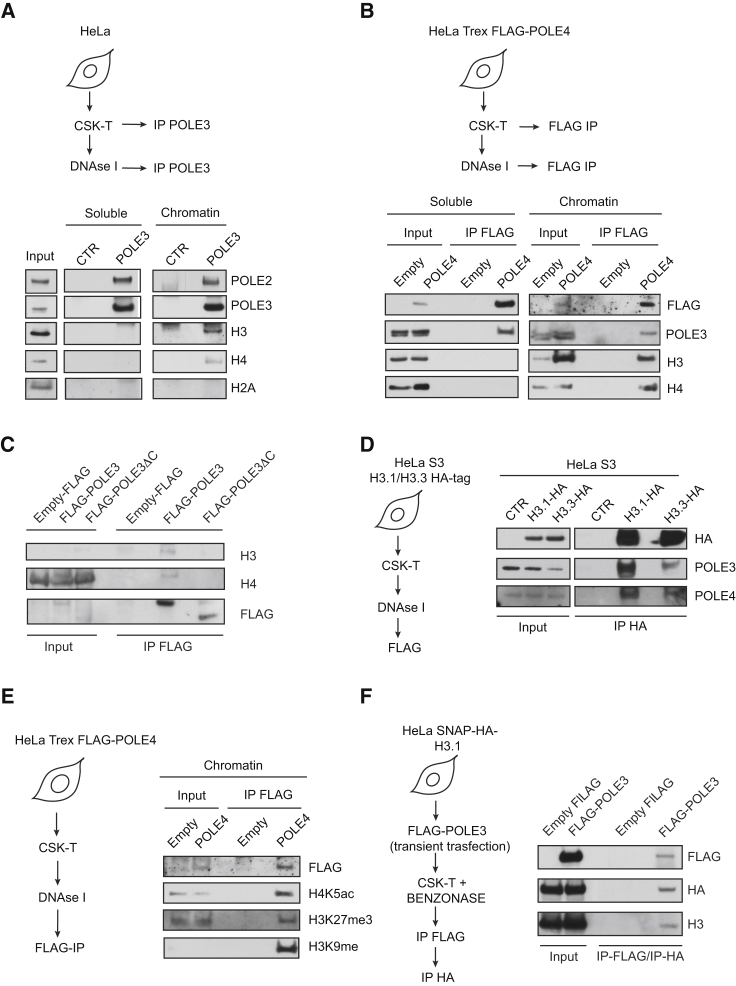 Figure 5