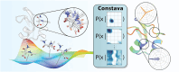 Graphical Abstract