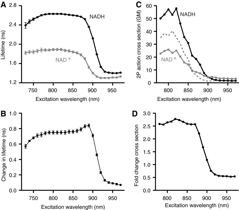 FIG. 2.