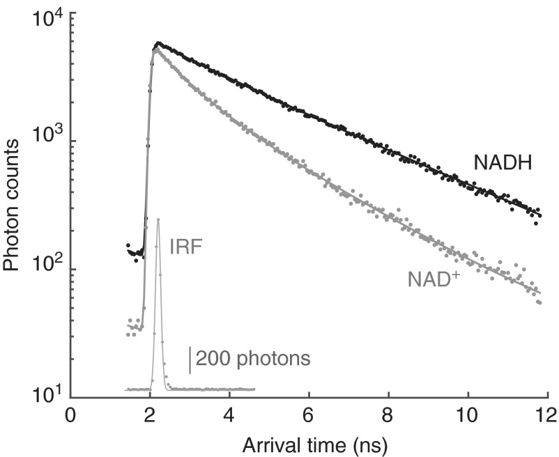 FIG. 1.