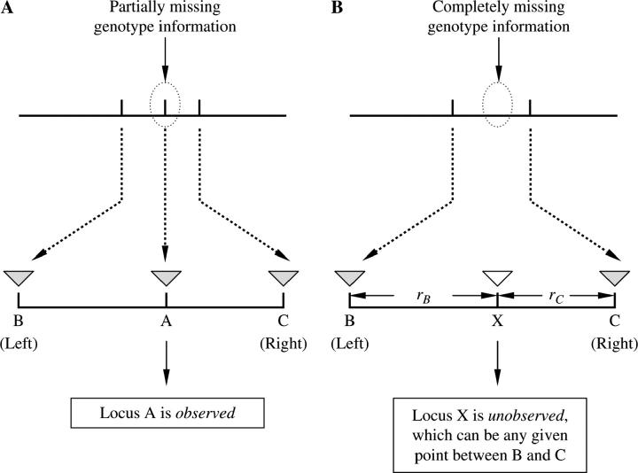 Figure 1.—