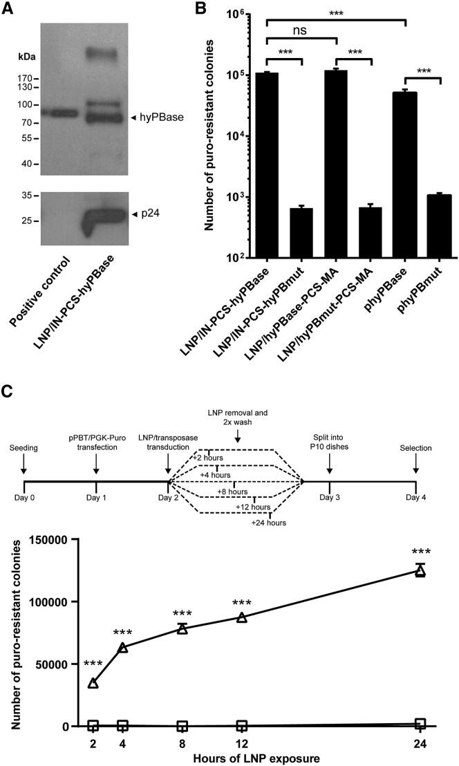 Figure 2