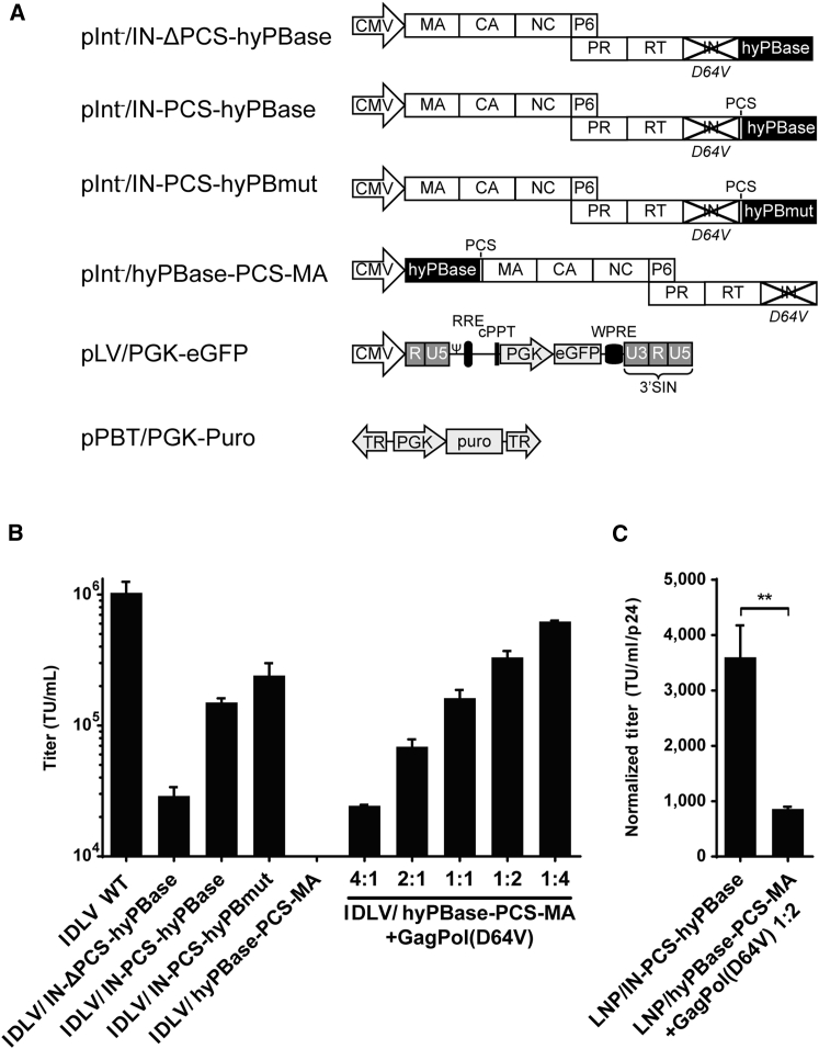 Figure 1