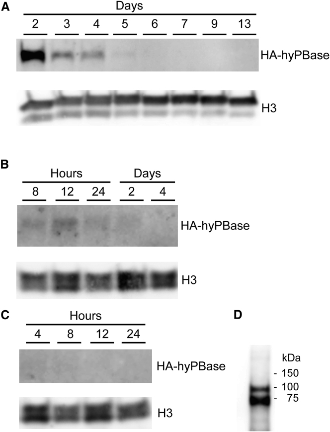 Figure 3