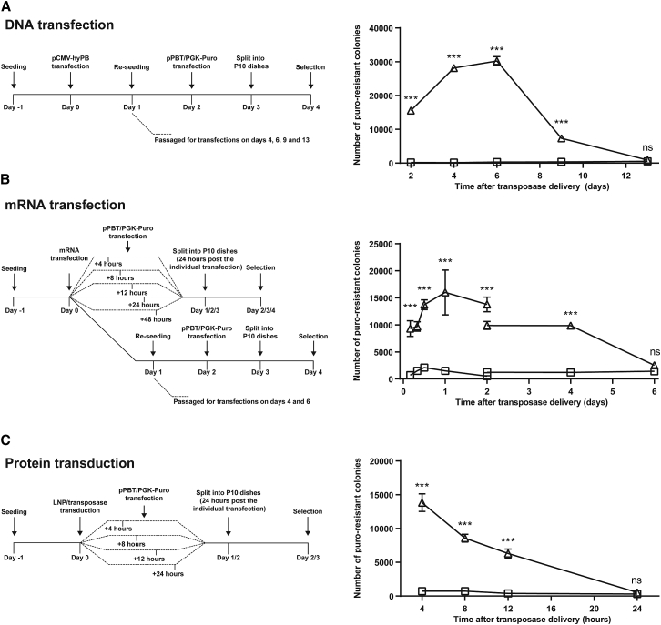 Figure 4