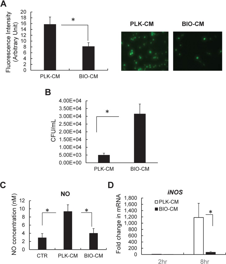 FIG 1