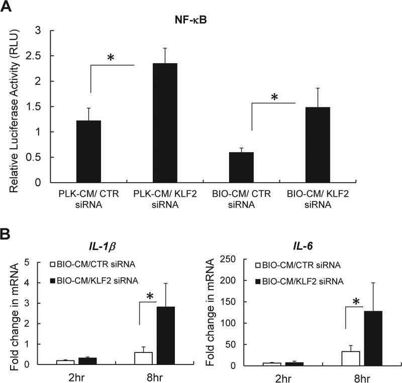 FIG 6