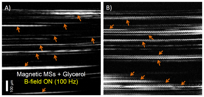 Fig. 6