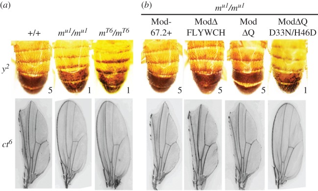 Figure 5.