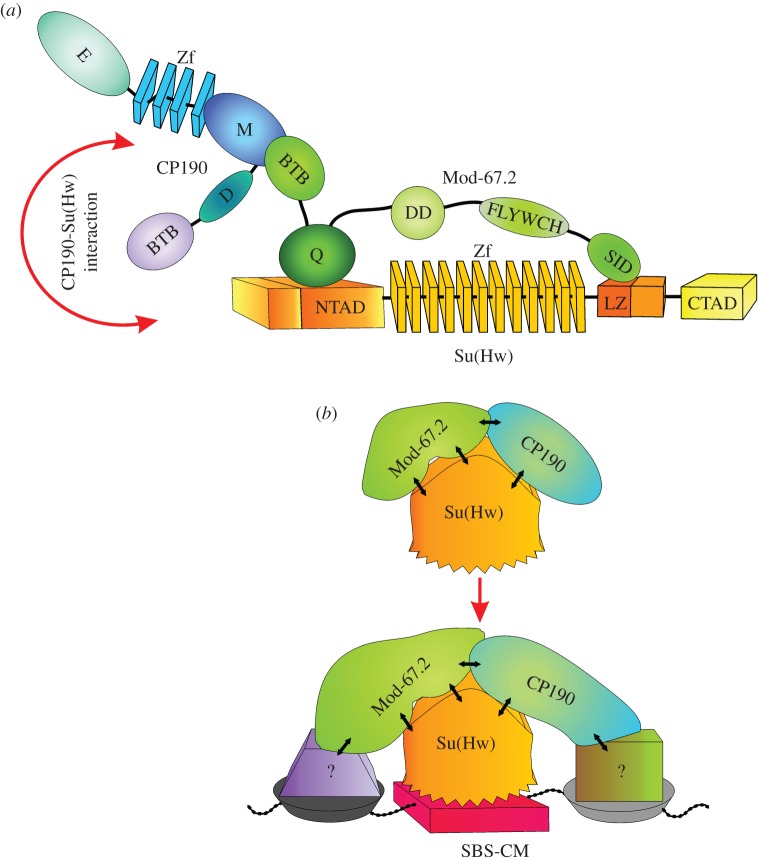 Figure 9.