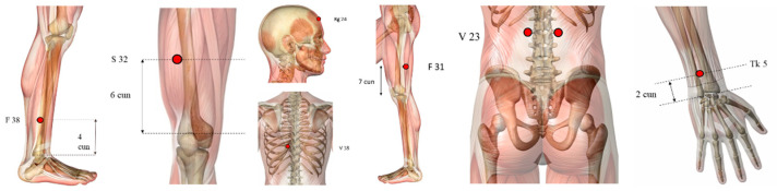 Figure 4