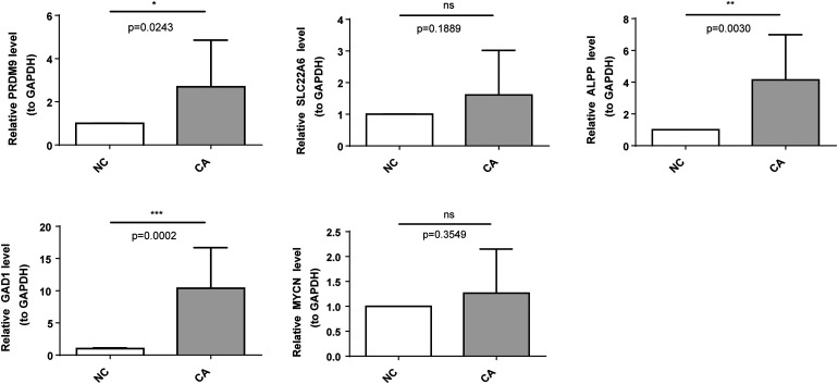 Figure 6.