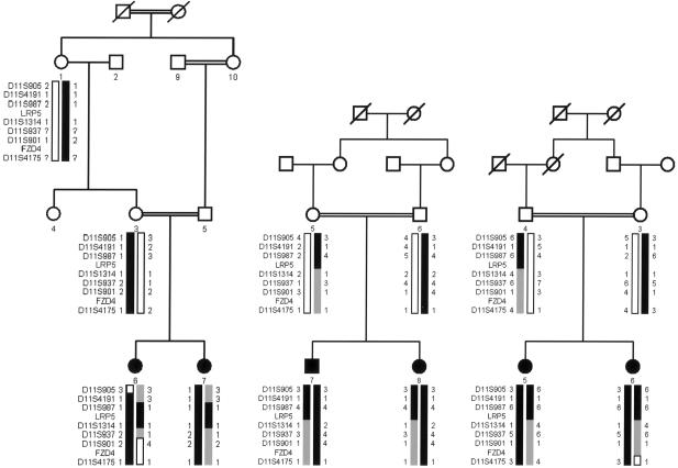 Figure  1